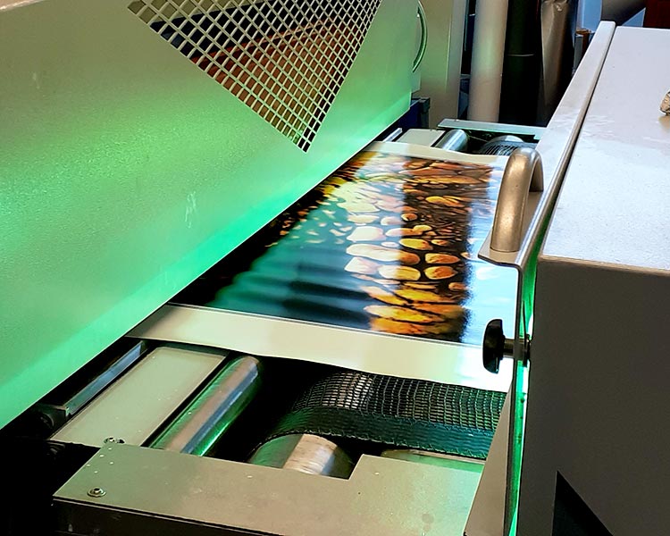 UV-Lackierung Detail